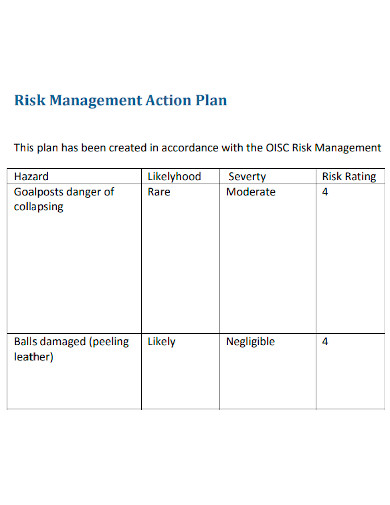 strategic risk management action plan