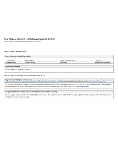 student business assessment report