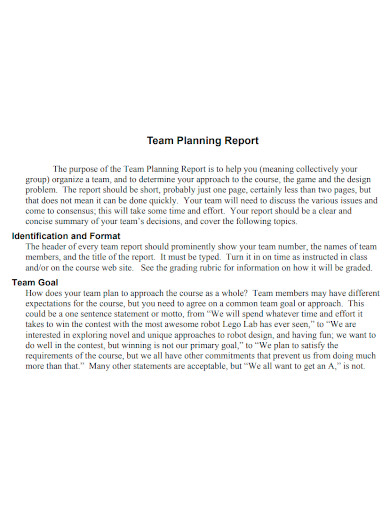 team planning report