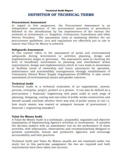 technical assessment audit report