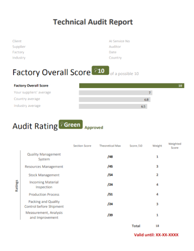 technical audit score report