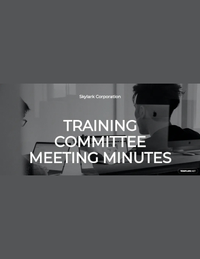 training committee meeting minutes template