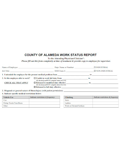work status report format
