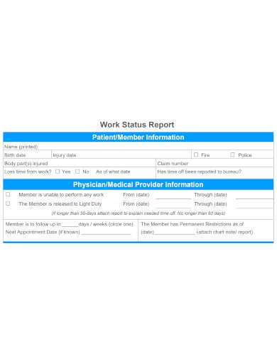 work status report sample