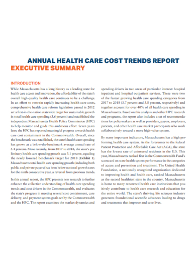 annual healthcare executive summary