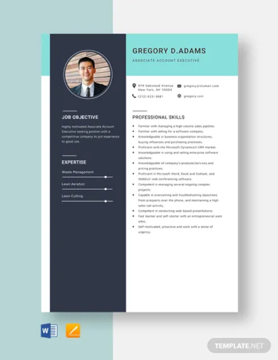 associate account executive resume template