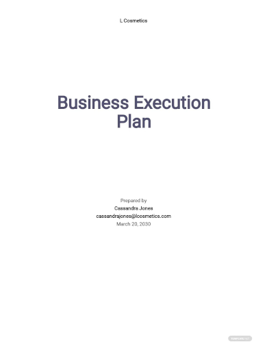 business execution plan template