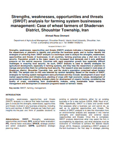 business management system swot analysis