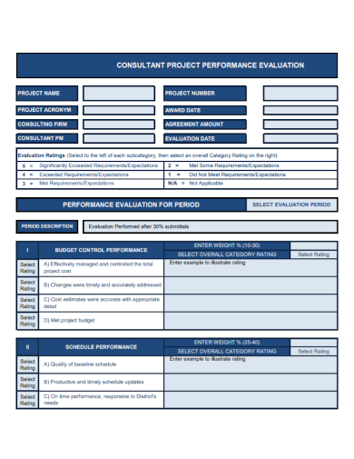 consultant project performance evaluation form