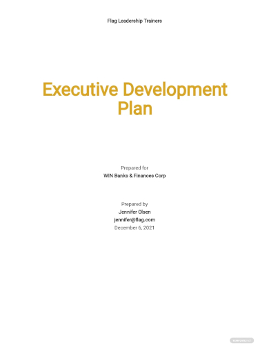 executive development plan template