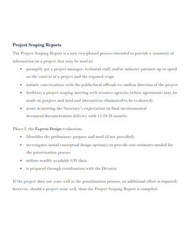project scope report