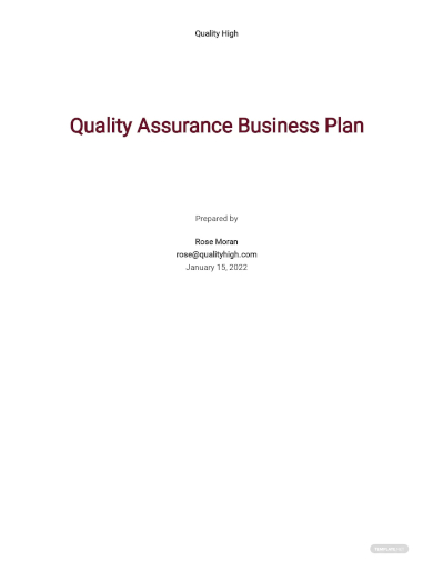 Free 10 Quality Assurance Plan Samples Software Project Surveillance 