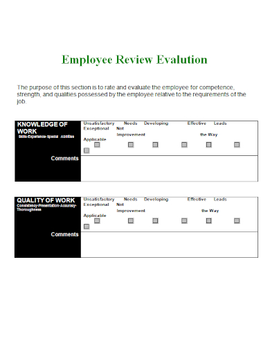 quality of work review evaluation