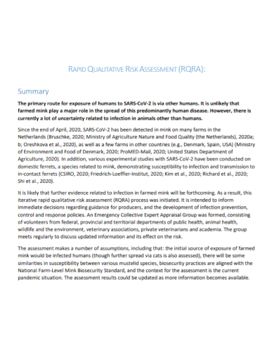 rapid qualitative risk assessment