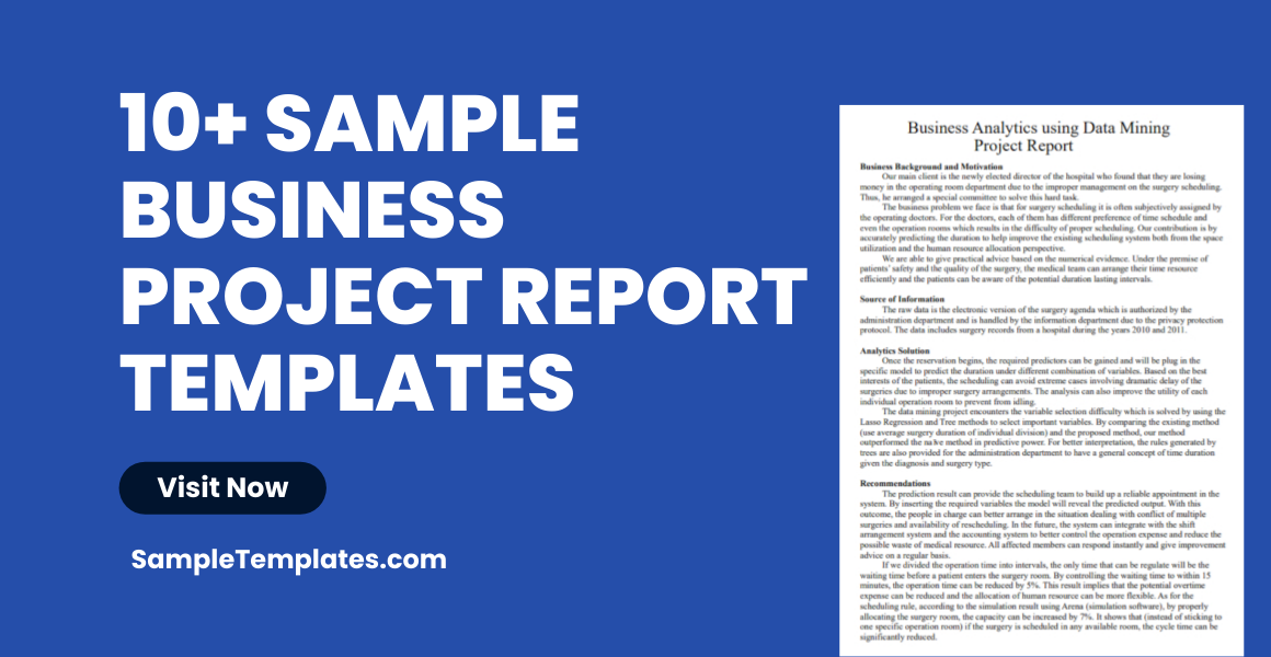 sample business project report templates