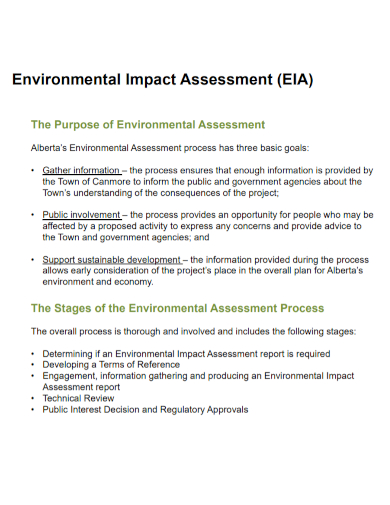 sample environmental impact assessment