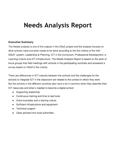 sample needs analysis report