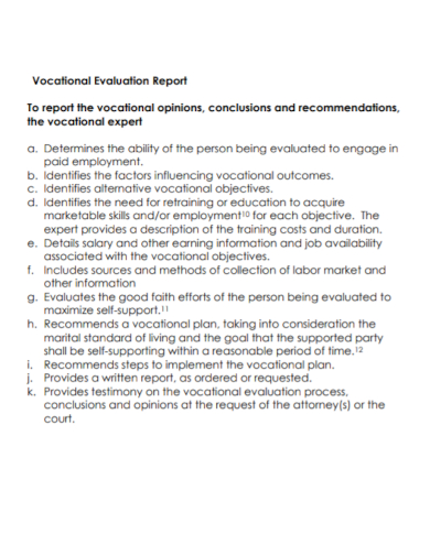 sample vocational evaluation report