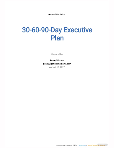 30 60 90 day executive plan template