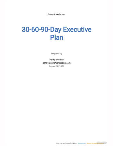 90 day executive plan template