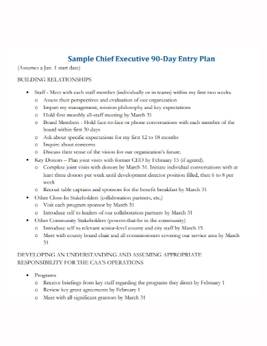 chief executive 90 day plan