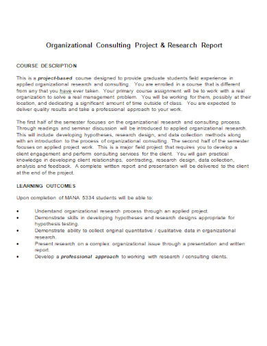 consulting project research report