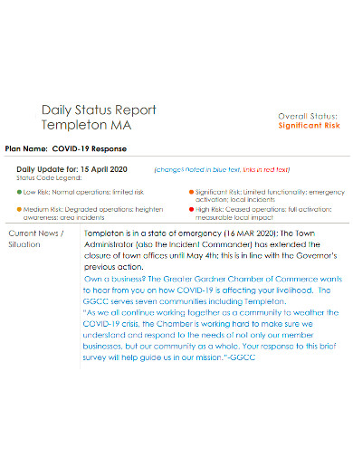 daily status report format