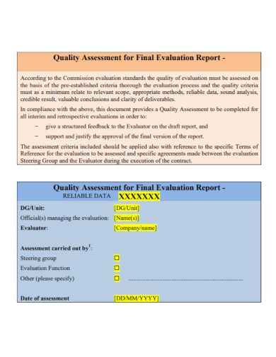 data quality assessment final evaluation report