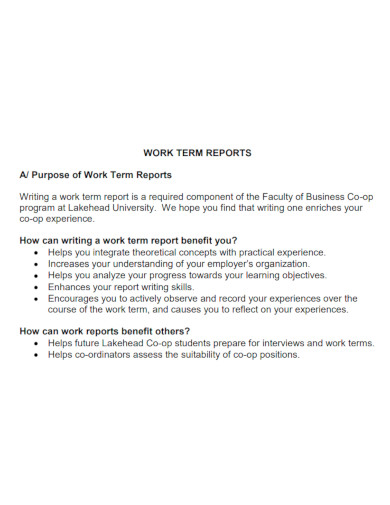 editable work term report