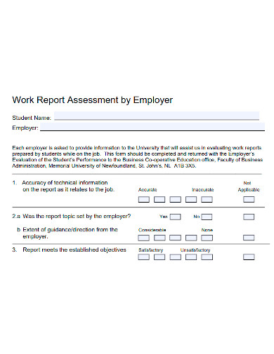 employee work assessment report