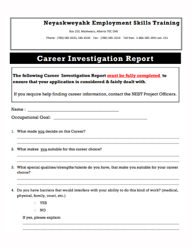 employment career investigation report