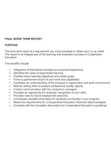 final work term report