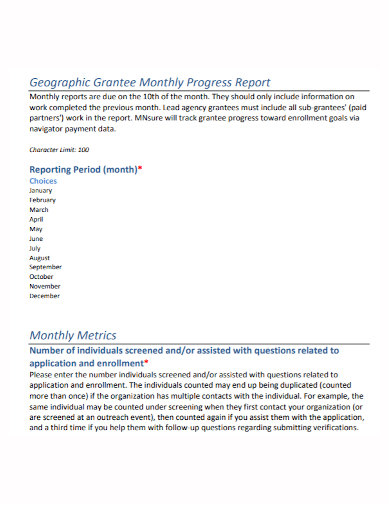 geographic grantee monthly progress report