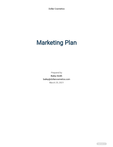 go to market plan template