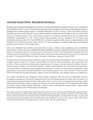 industry value chain situation analysis