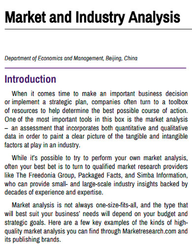 industry and market analysis sample