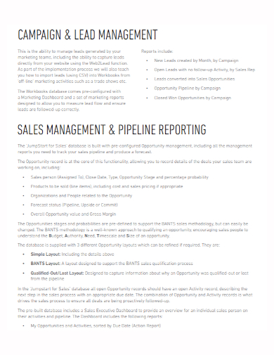 lead sales management report