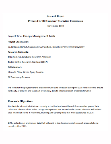 management research project report