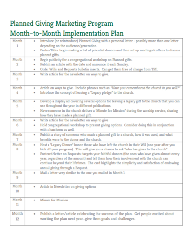 marketing program implementation plan