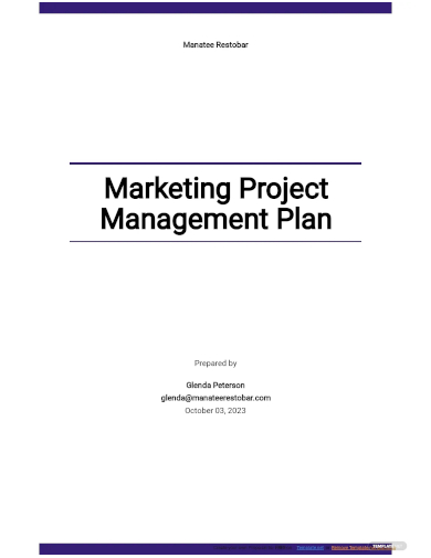 marketing project management plan template