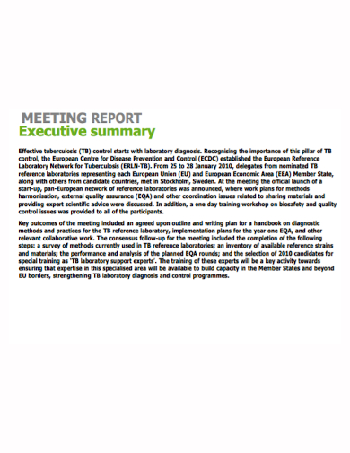 meeting report executive summary
