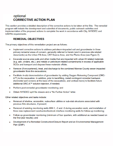 optional remedial corrective action plan