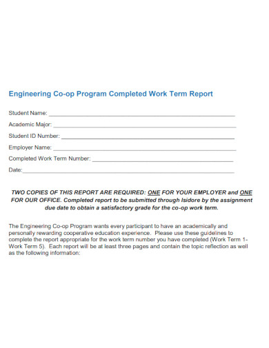 program work term report