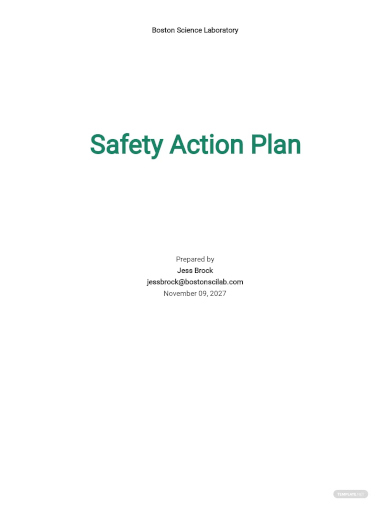 safety action plan template