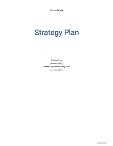 safety strategy plan template