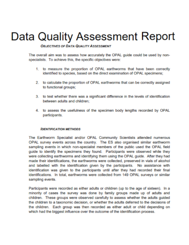 sample data quality assessment report