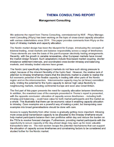sample management consulting report