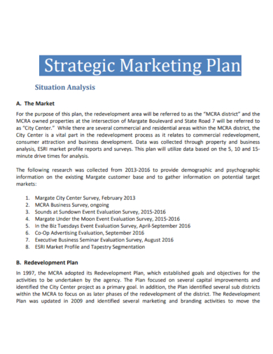 situation analysis marketing development plan