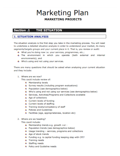 situation analysis marketing project plan