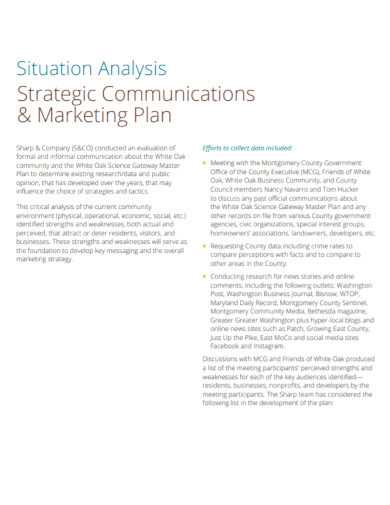 situation analysis strategic marketing plan